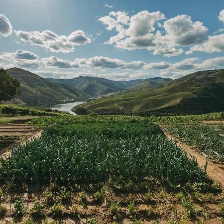 Ventozelo & Quinta Hotel 4*