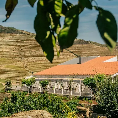 Hotel Ventozelo & Quinta