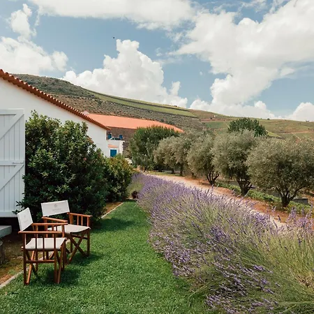 Ventozelo & Quinta Hotel Ervedosa do Douro