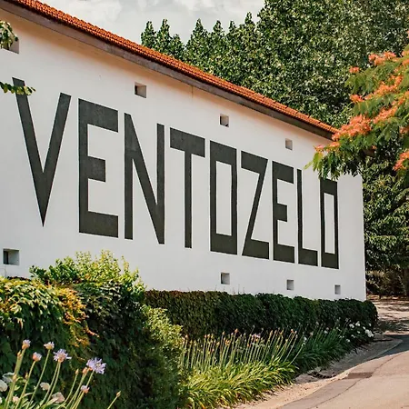 Hotel Ventozelo & Quinta