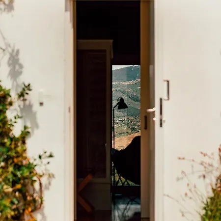 Hotel Ventozelo & Quinta 4*