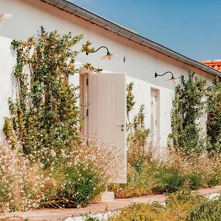 Ventozelo & Quinta فندق Ervedosa do Douro