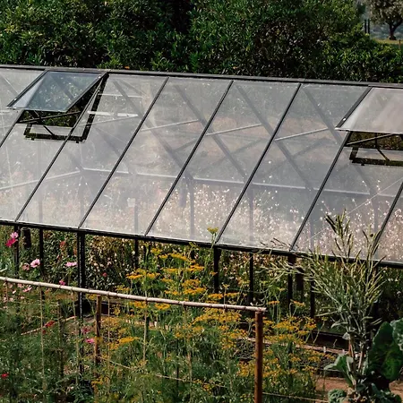 Ventozelo & Quinta 4*