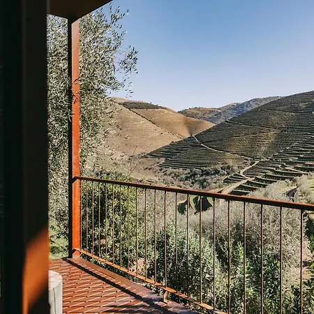 Hotel Ventozelo & Quinta Ervedosa do Douro