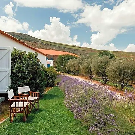 Ventozelo & Quinta Hotel