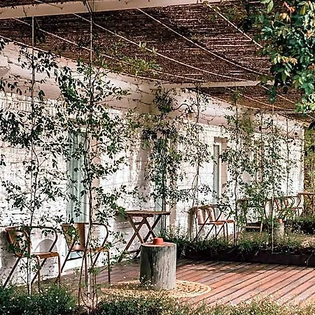 Ventozelo Hotel&quinta Ervedosa do Douro