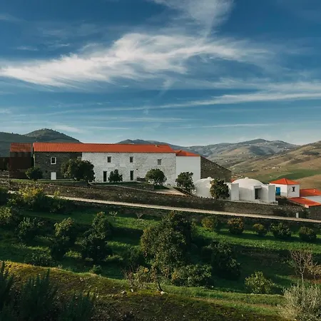 Hotel Ventozelo & Quinta