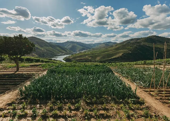 Ventozelo & Quinta Hotel 4*