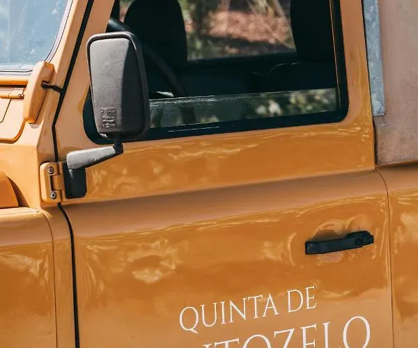 Ventozelo & Quinta فندق