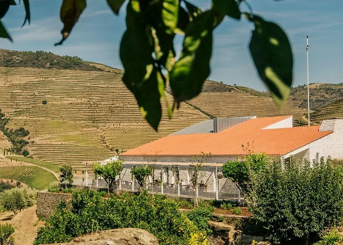 Hotel Ventozelo & Quinta