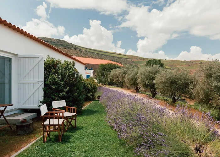 Ventozelo & Quinta فندق Ervedosa do Douro