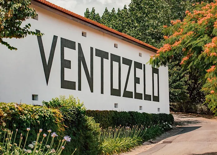 Hotel Ventozelo & Quinta