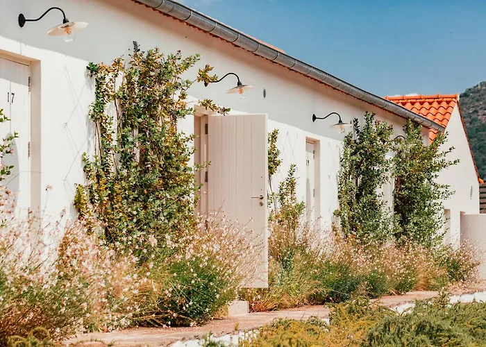 Ventozelo & Quinta Hotel Ervedosa do Douro