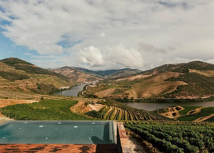 Ventozelo & Quinta فندق 4*