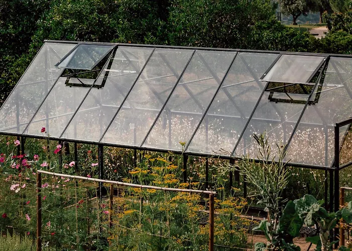 Ventozelo & Quinta 4*