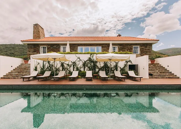 Ventozelo & Quinta فندق