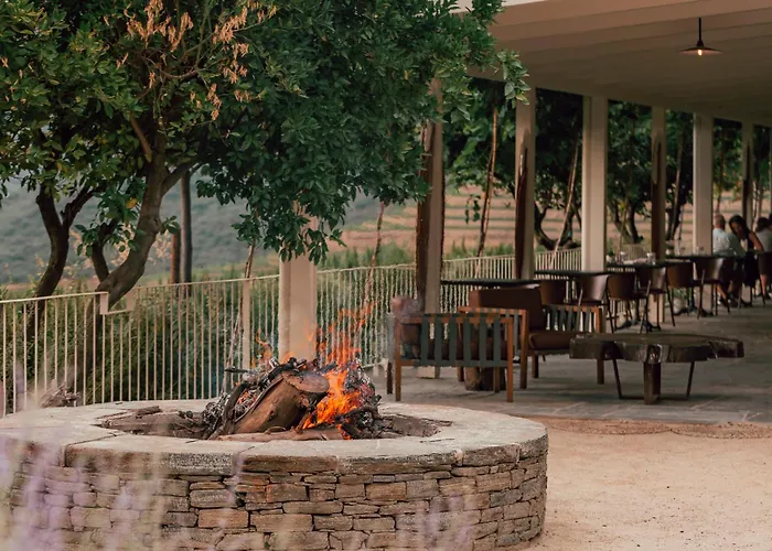 Ventozelo & Quinta فندق