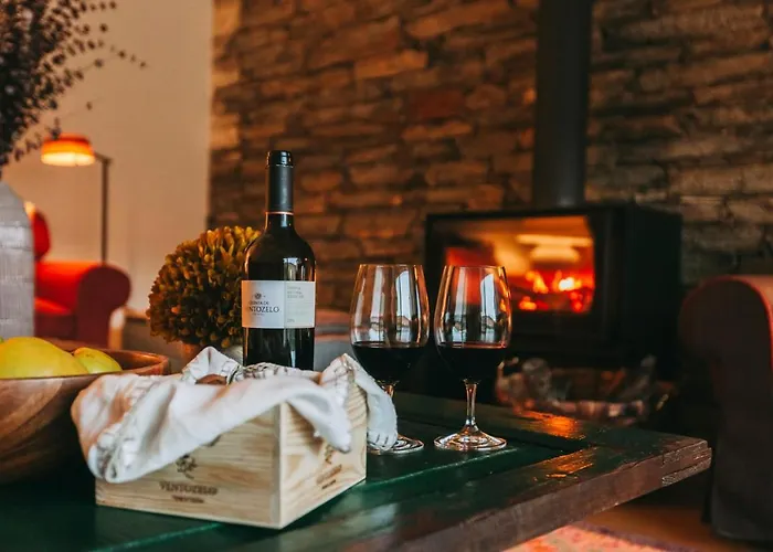 Ventozelo & Quinta فندق